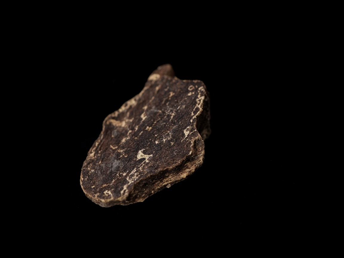 Raw agarwood chips showing resin veins